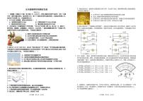 辽宁省阜新市实验中学2025-2026学年九年级上学期期中物理试卷