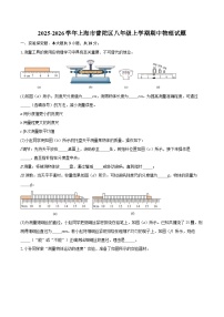 2025-2026学年上海市普陀区八年级上学期期中物理试题-自定义类型