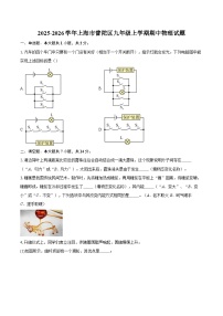 2025-2026学年上海市普陀区九年级上学期期中物理试题-自定义类型