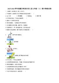 2025-2026学年西藏日喀则市昂仁县九年级（上）期中物理试卷-自定义类型