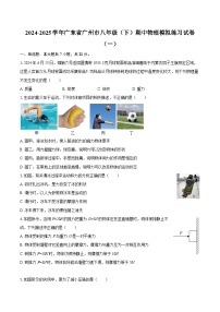 2024-2025学年广东省广州市八年级（下）期中物理模拟练习试卷（一）-自定义类型