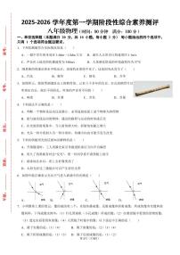 山东省青岛市部分学校2025-2026学年上学期八年级物理期中试卷