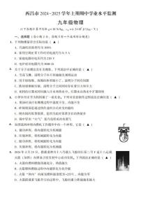 四川省西昌市2024-2025学年九年级上学期期中学业水平监测物理试卷