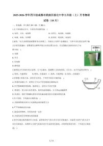 四川省成都市棕北中学2025~2026学年九年级上册月考物理试卷（10月）（含答案）