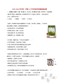 广东省深圳市龙岗区横岗六约学校2025_2026学年九年级上册（10月）月考物理试题【附答案】