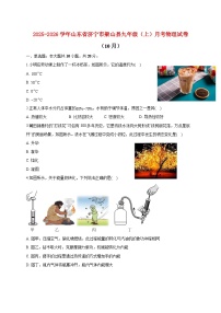 山东省济宁市梁山县2025_2026学年九年级上册月考物理试题（10月）【附答案】