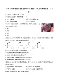 2025-2026学年河北省石家庄六中八年级（上）月考物理试卷（10月份）-自定义类型