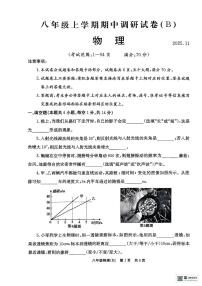 河南省安阳市林州市2025-2026学年八年级上学期11月期中物理试题