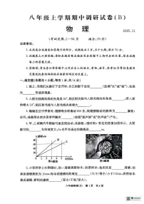 河南省安阳市林州市2025-2026学年八年级上学期11月期中物理试题