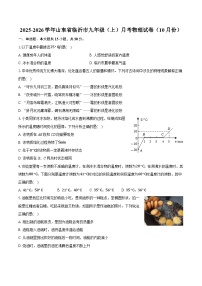 2025-2026学年山东省临沂市九年级（上）月考物理试卷（10月份）