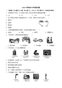 2025年海南省中考物理试题（含答案）