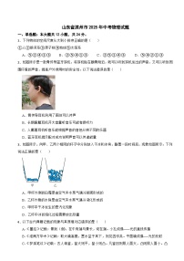 山东省滨州市2025年中考物理试题附真题答案