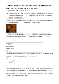 安徽省合肥市瑶海区八年级上学期期末考试物理试题（原卷版）-A4