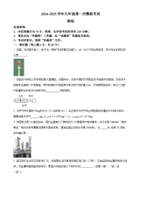 2025年安徽省芜湖市第二十九中学中考一模物理试题-A4