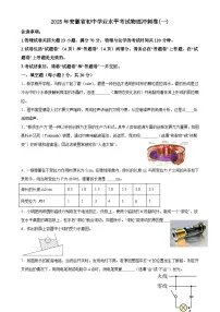 2025年安徽省初中学业水平考试物理冲刺练习卷（一）-A4