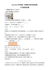 安徽省巢湖市八年级上学期期末考试物理试题（解析版）-A4