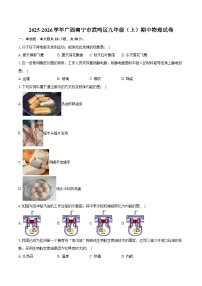 2025-2026学年广西南宁市武鸣区九年级（上）期中物理试卷