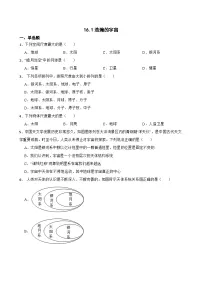 北师大版（2024）九年级全册浩瀚的宇宙综合训练题