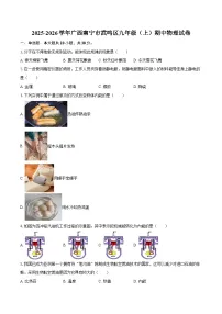 2025-2026学年广西南宁市武鸣区九年级（上）期中物理试卷-自定义类型