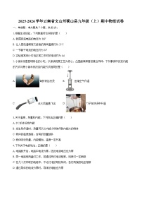 2025-2026学年云南省文山州砚山县九年级（上）期中物理试卷-自定义类型