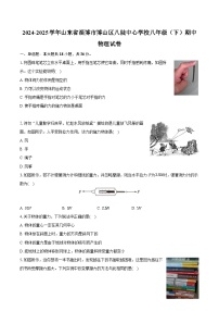 山东省淄博市博山区八陡中心学校2024-2025学年八年级下学期期中物理试卷（含解析）