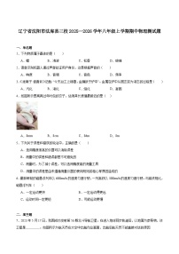 辽宁省沈阳市法库县三校2025-2026学年八年级上学期期中测试物理试卷（含答案）