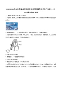2025-2026学年江苏省苏州市姑苏区苏州市振华中学校九年级（上）11月期中物理试卷-自定义类型
