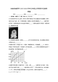 河南省南阳市2025-2026学年九年级上学期期中仿真练习卷物理试卷