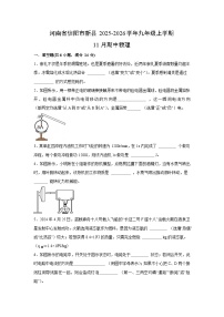 河南省信阳市新县2025-2026学年九年级上学期11月期中物理试卷