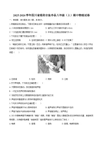2025-2026学年四川省绵阳市盐亭县八年级（上）期中物理试卷-自定义类型