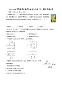 2025-2026学年黑龙江省哈尔滨市九年级（上）期中物理试卷-自定义类型
