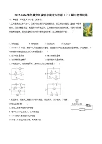 2025-2026学年黑龙江省哈尔滨市九年级（上）期中物理试卷-自定义类型