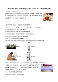 2025-2026学年广东省深圳市龙华区九年级（上）期中物理试卷-自定义类型