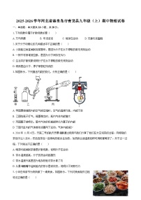 2025-2026学年河北省秦皇岛市青龙县九年级（上）期中物理试卷-自定义类型