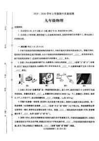 河南省平顶山市汝州市2025-2026学年九年级上学期11月期中物理试题