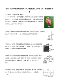 2025-2026学年河南省郑州十九中教育集团九年级（上）期中物理试卷