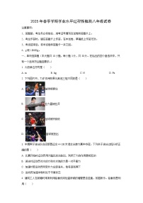 广西壮族自治区贺州市2024-2025学年八年级下学期期中考试物理试卷（学生版）