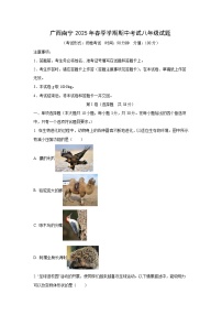 广西南宁市2024-2025学年八年级下学期期中考试物理试卷（学生版）