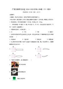 广西壮族自治区玉林市玉州区2024-2025学年八年级下学期期中学业质量监测物理试卷（学生版）