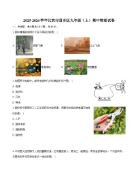 2025-2026学年北京市通州区九年级（上）期中物理试卷