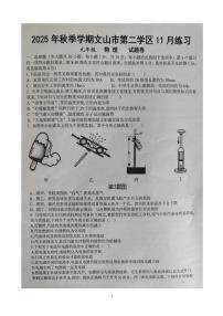 云南省文山市第二学区四校2025-2026学年九年级上学期11月期中物理试题