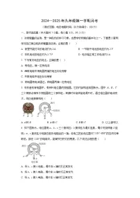 广东省韶关市2024-2025学年九年级上10月月考物理试题（学生版）