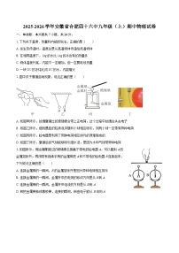 2025-2026学年安徽省合肥四十六中九年级（上）期中物理试卷-自定义类型
