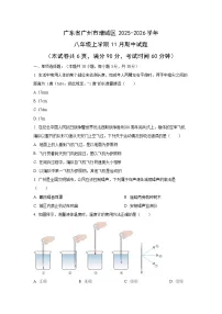 广东省广州市增城区2025-2026学年八年级上学期期中物理试题(学生版)