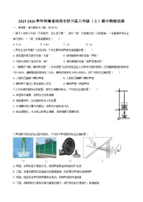 2025-2026学年河南省洛阳市伊川县八年级（上）期中物理试卷-自定义类型