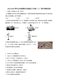 2025-2026学年山东省潍坊市高新区九年级（上）期中物理试卷（有答案和解析）