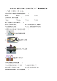 2025-2026学年北京171中学八年级（上）期中物理试卷-自定义类型