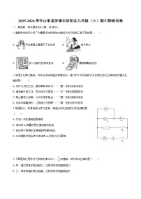 2025-2026学年山东省济南市济阳区九年级（上）期中物理试卷-自定义类型
