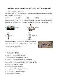 2025-2026学年山东省潍坊市高新区九年级（上）期中物理试卷-自定义类型
