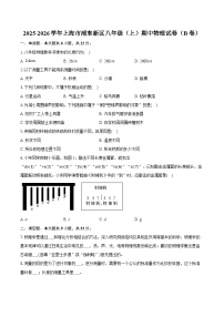 2025-2026学年上海市浦东新区八年级（上）期中物理试卷（B卷）